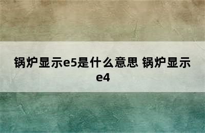 锅炉显示e5是什么意思 锅炉显示e4